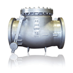 Chck-Valve-Bolted-Cover